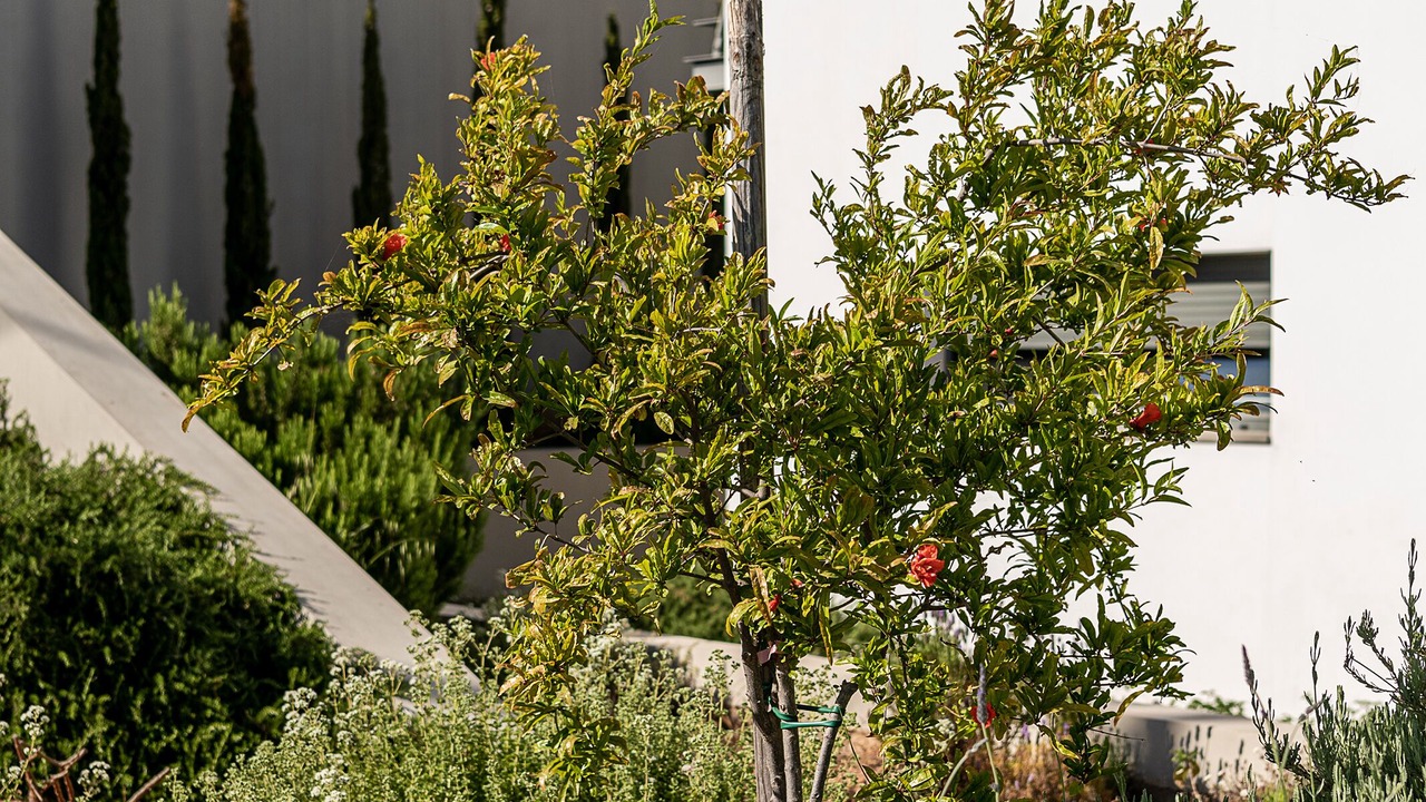Photo of Outdoor in Chania