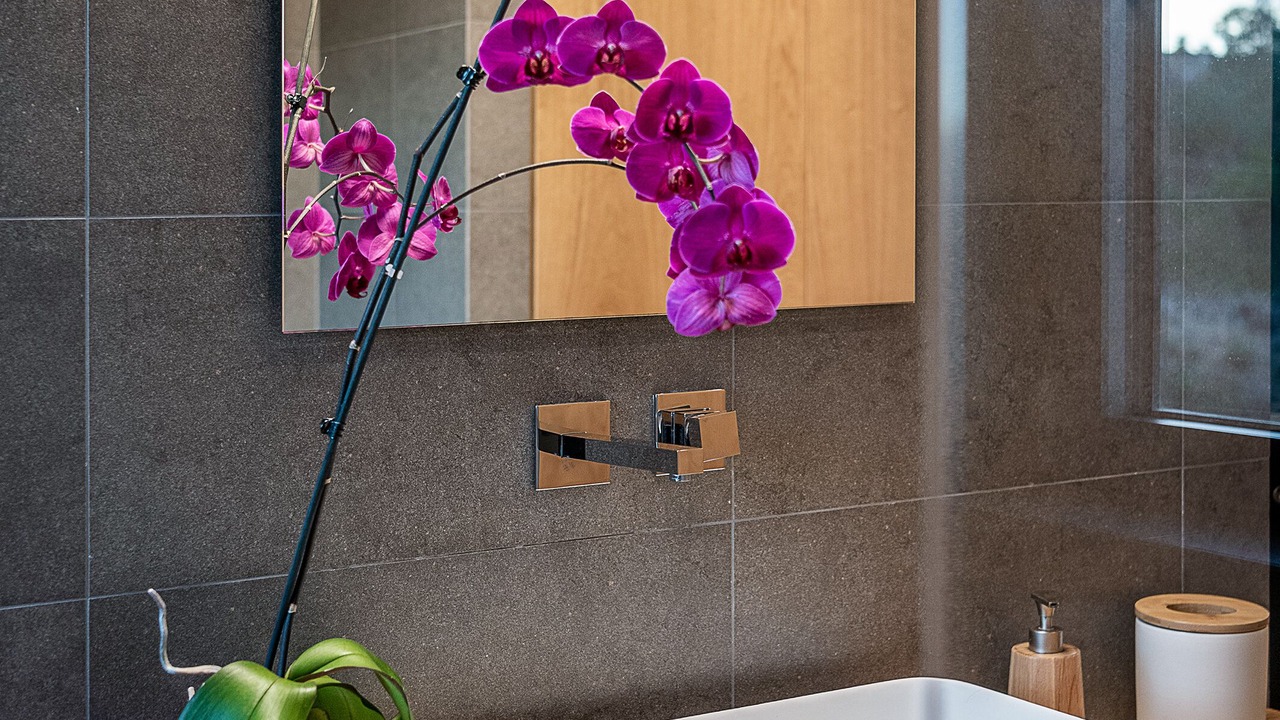Photo of Bathroom in Chania
