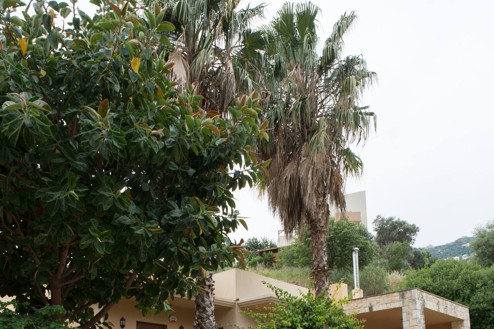 Photo of Others in Palaiokastro