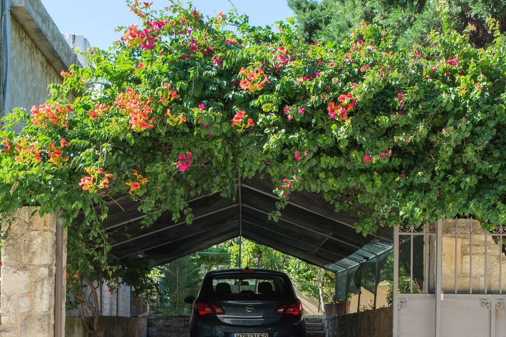Photo of Outdoor in Palaiokastro