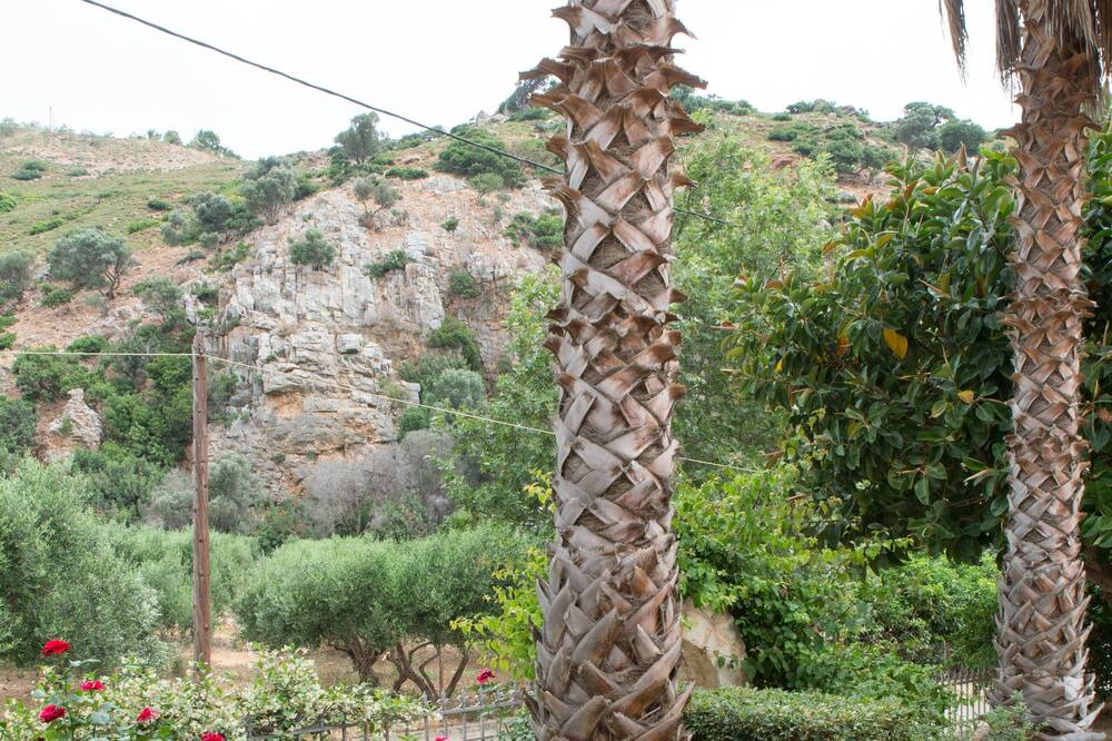 Photo of Outdoor in Palaiokastro