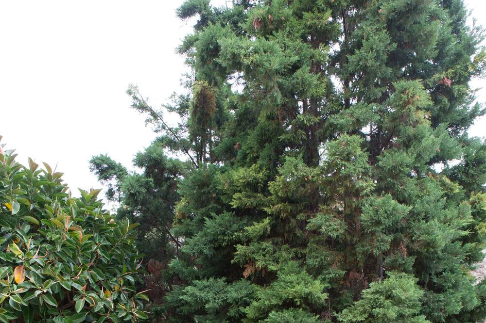 Photo of Outdoor in Palaiokastro
