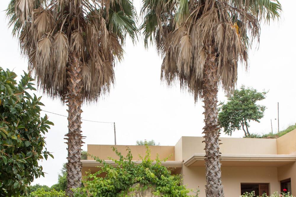 Photo of Outdoor in Palaiokastro