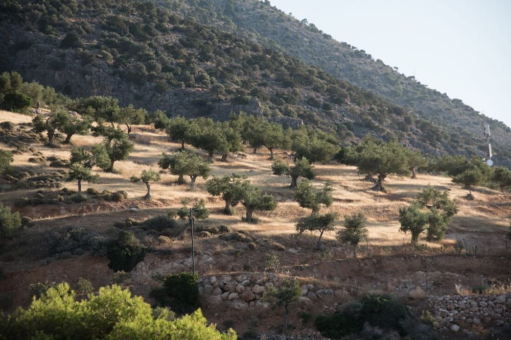 Photo of Outdoor in Phthiotis Region