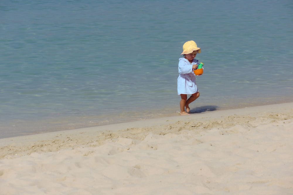Photo of Others in Parelia