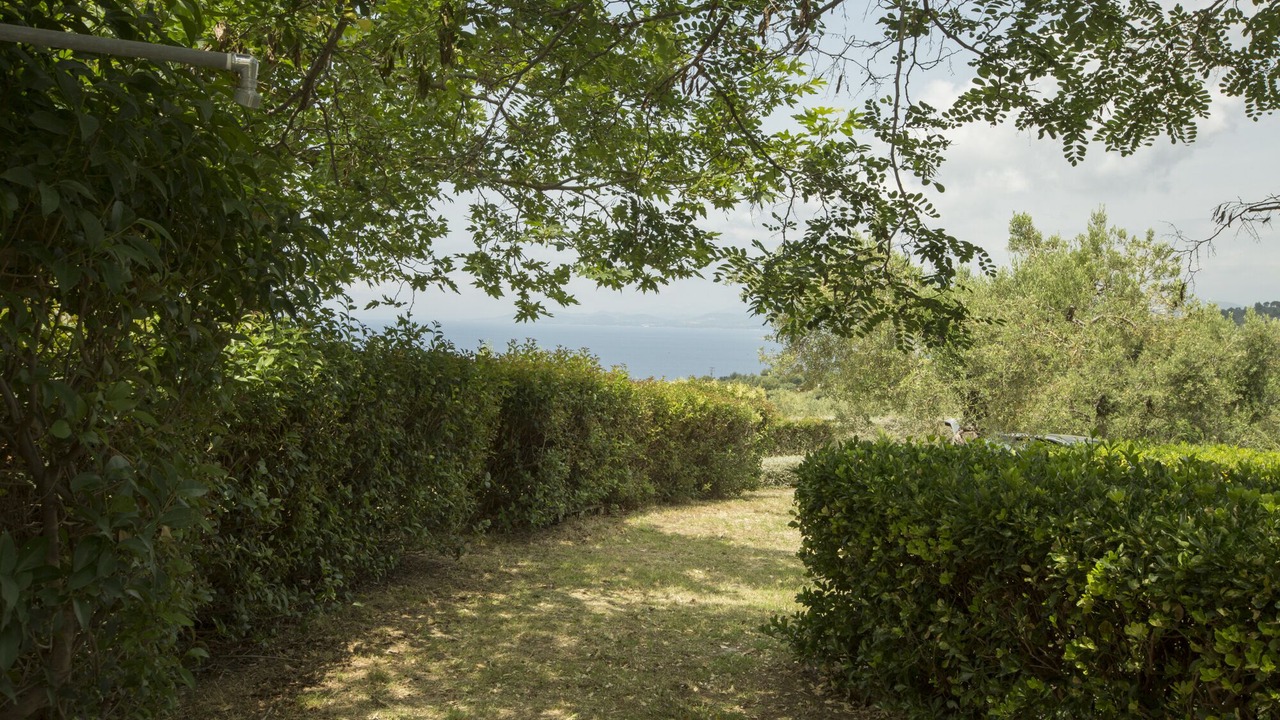 Photo of Outdoor in Paradhisos