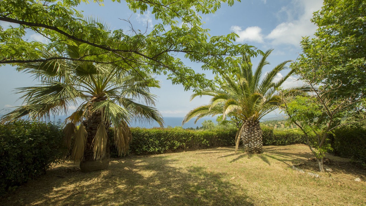 Photo of Outdoor in Paradhisos