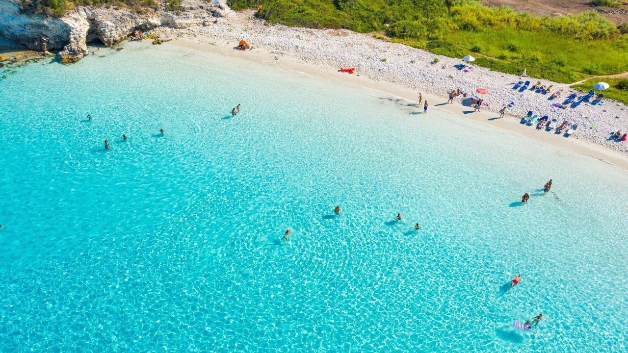Photo of Others in Paxos