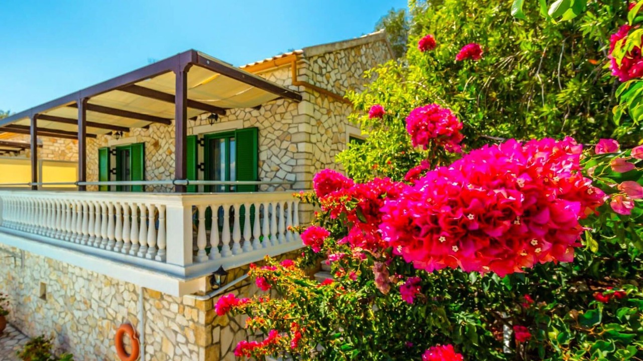 Photo of Others in Paxos