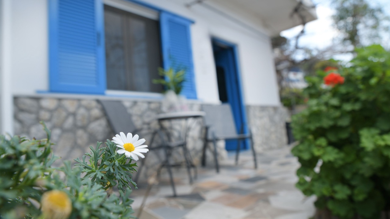 Photo of Outdoor in Mirties
