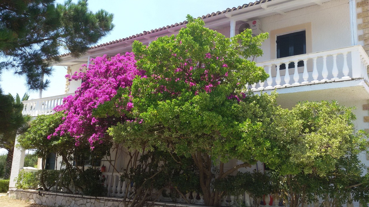 Photo of Outdoor in Almiros Beach