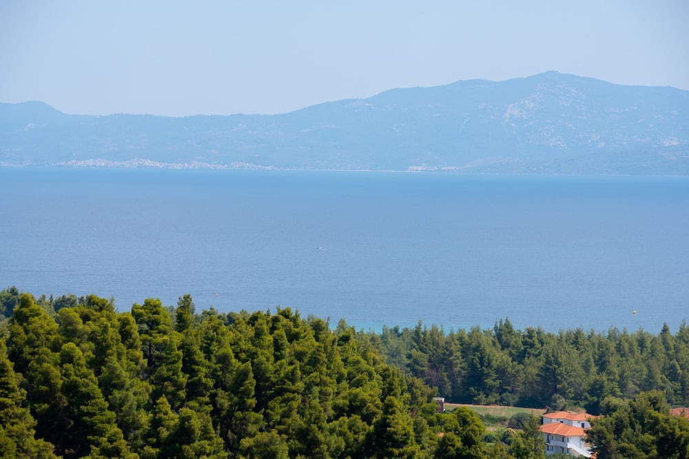 Photo of Others in Paliouri