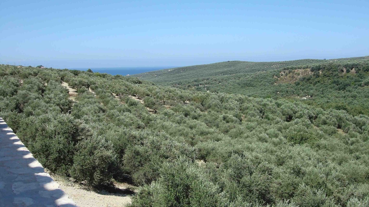 Photo of Outdoor in Darmarochori