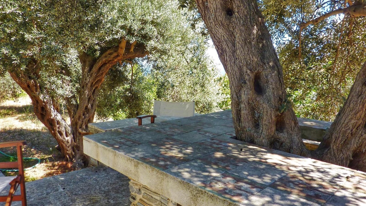 Photo of Outdoor in Apikia