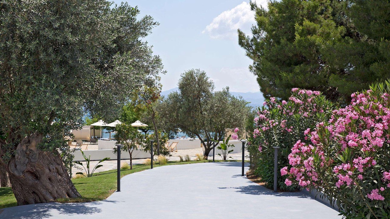 Photo of Others in Eretria