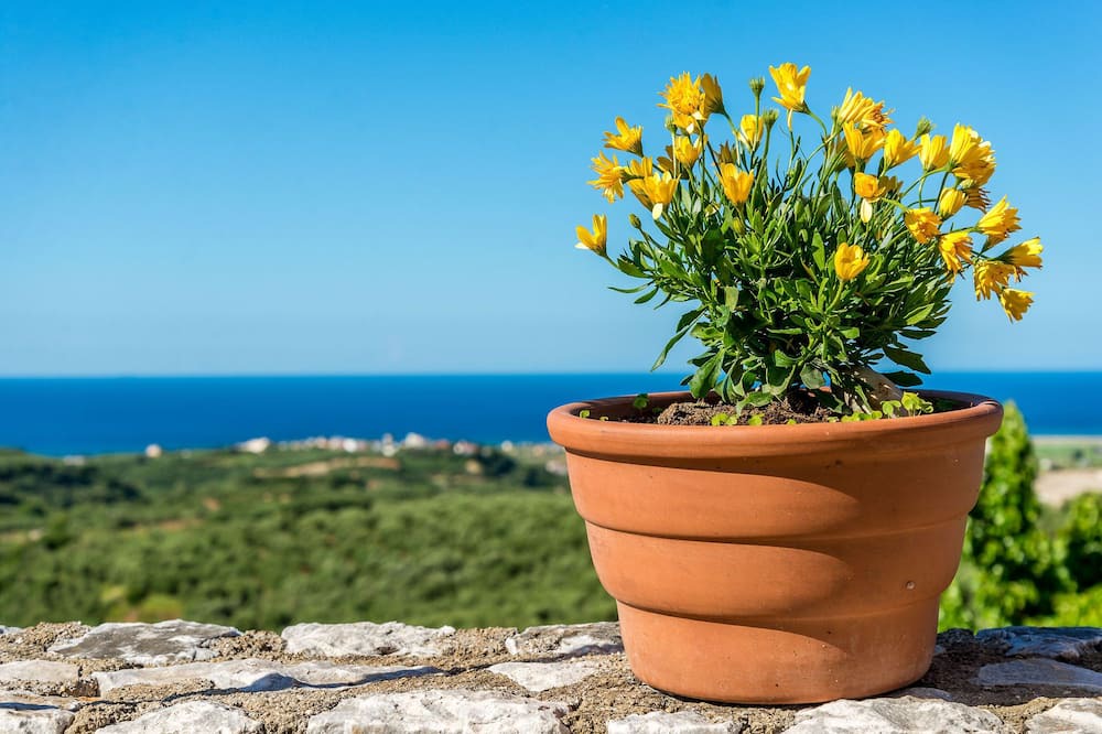 Photo of Outdoor in Polemarchi