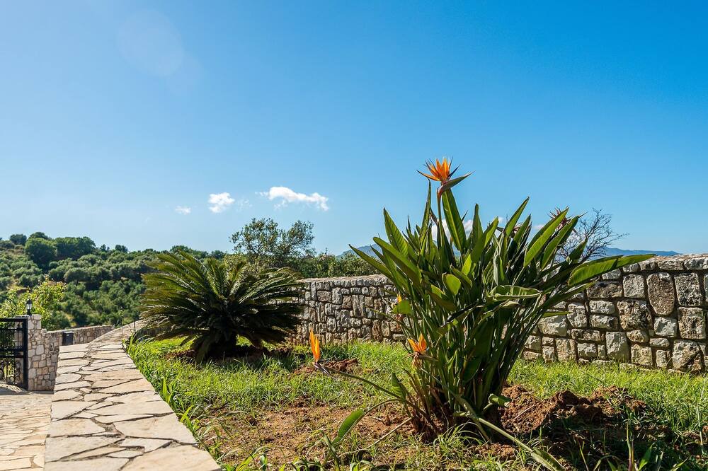 Photo of Outdoor in Polemarchi