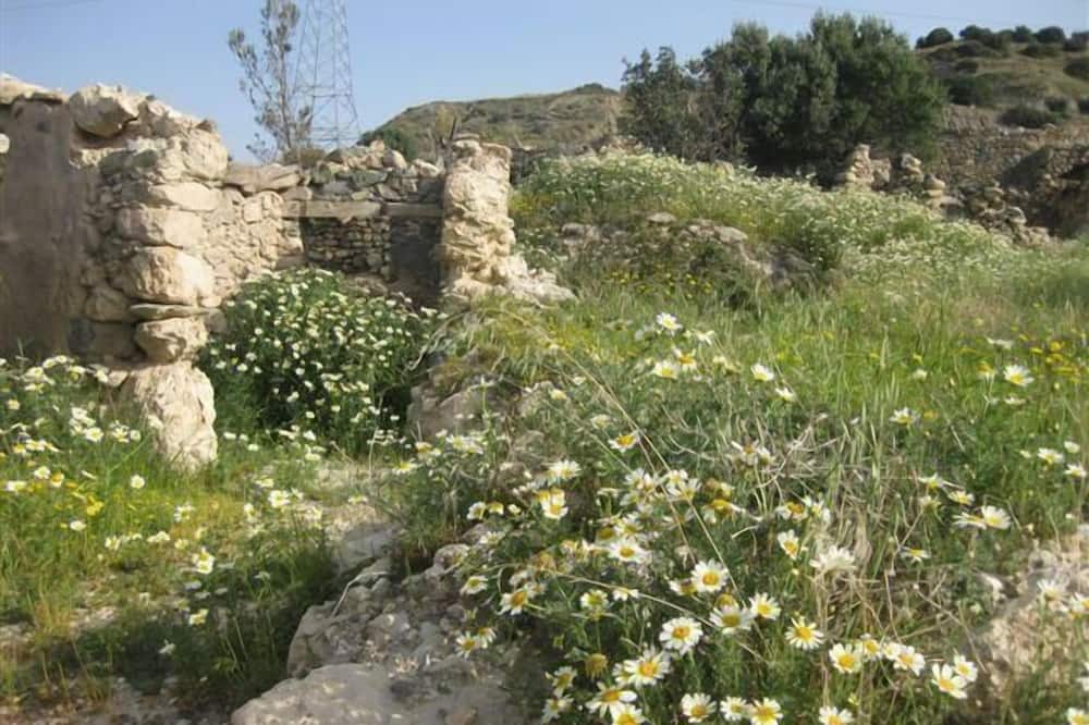 Photo of Outdoor in Pefki