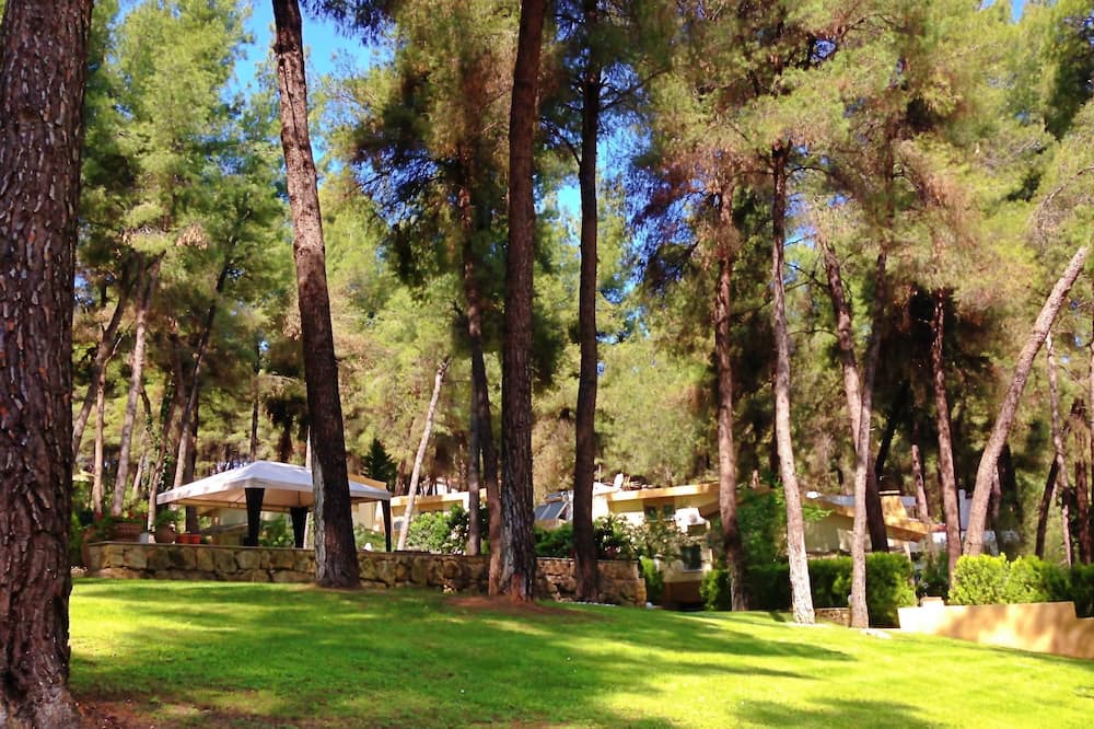 Photo of Outdoor in Sane