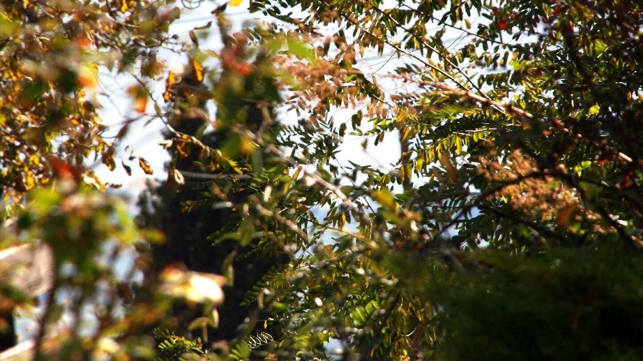 Photo of Outdoor in Sidirochori