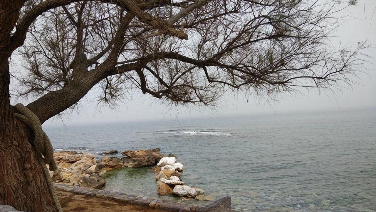 Photo of Others in Stavromenos