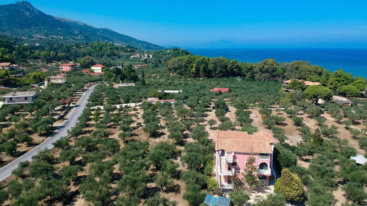 Photo of Others in Ano Vasilikos