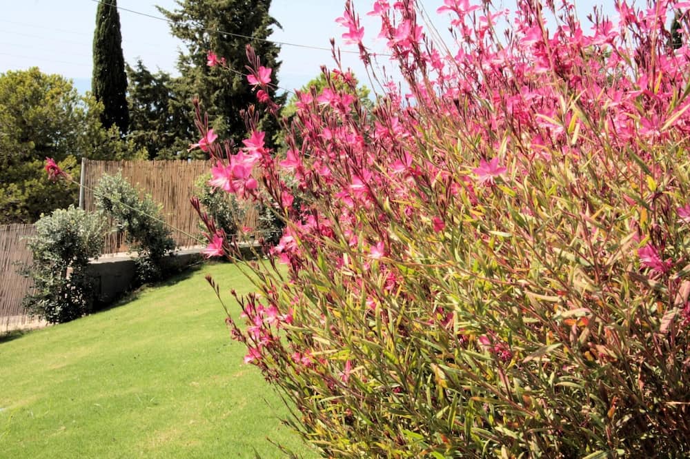 Photo of Outdoor in Pefkos
