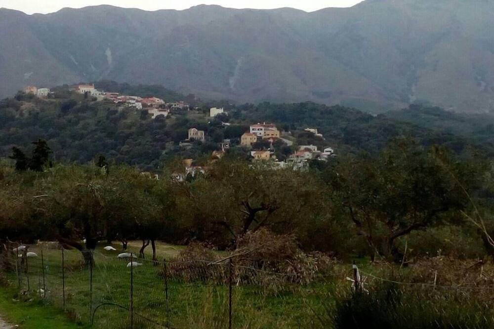 Photo of Others in Kastellos
