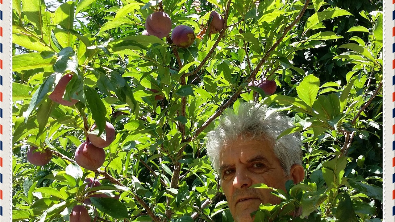 Photo of Outdoor in Kantanos-Selino
