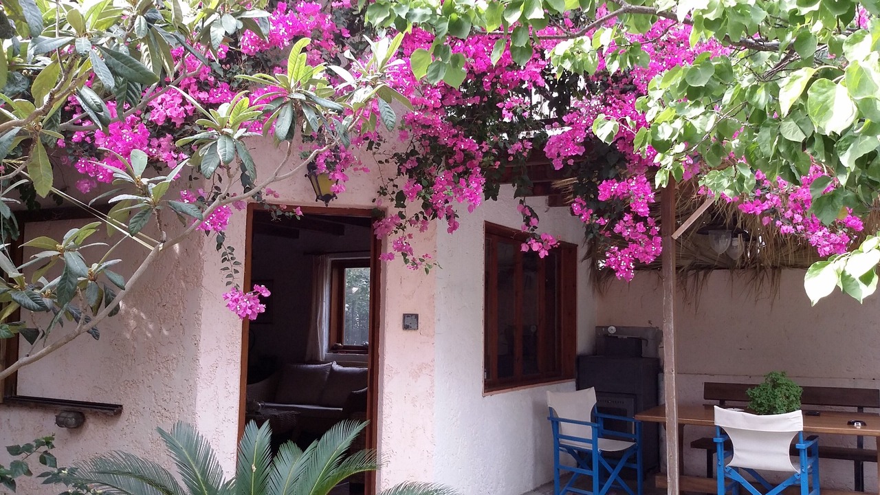 Photo of Outdoor in Kantanos-Selino