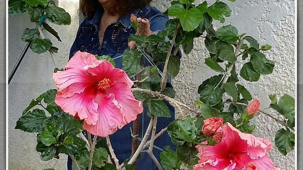 Photo of Outdoor in Kantanos-Selino
