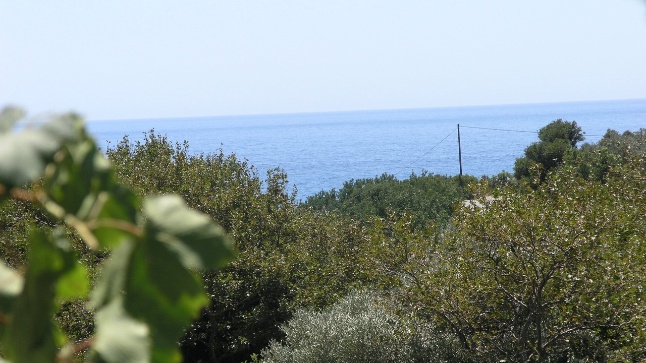 Photo of Others in Kantanos-Selino