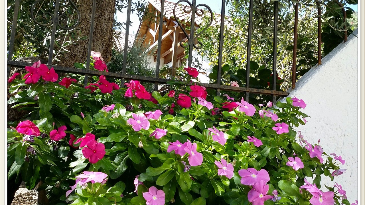 Photo of Outdoor in Kantanos-Selino