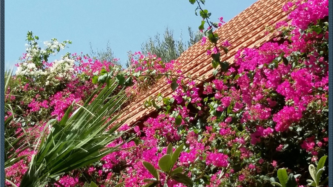 Photo of Outdoor in Kantanos-Selino
