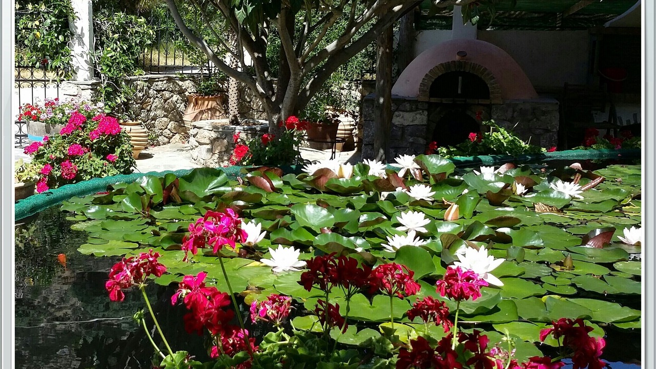 Photo of Outdoor in Kantanos-Selino