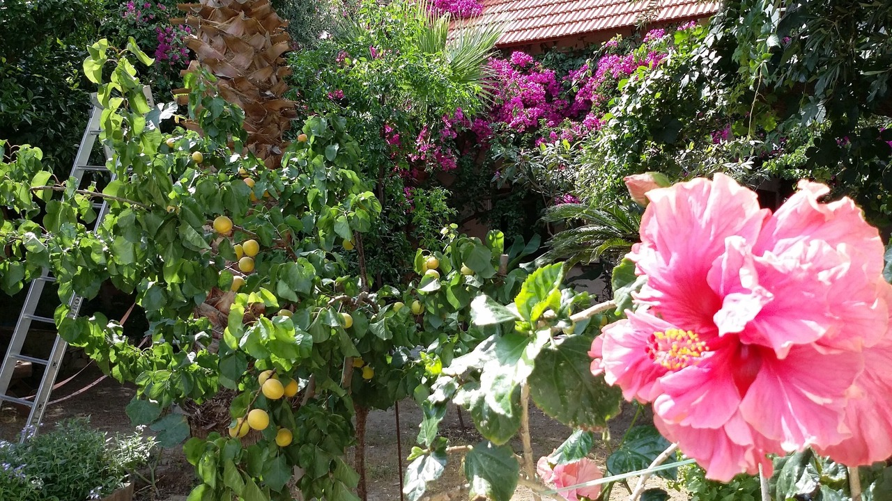 Photo of Outdoor in Kantanos-Selino