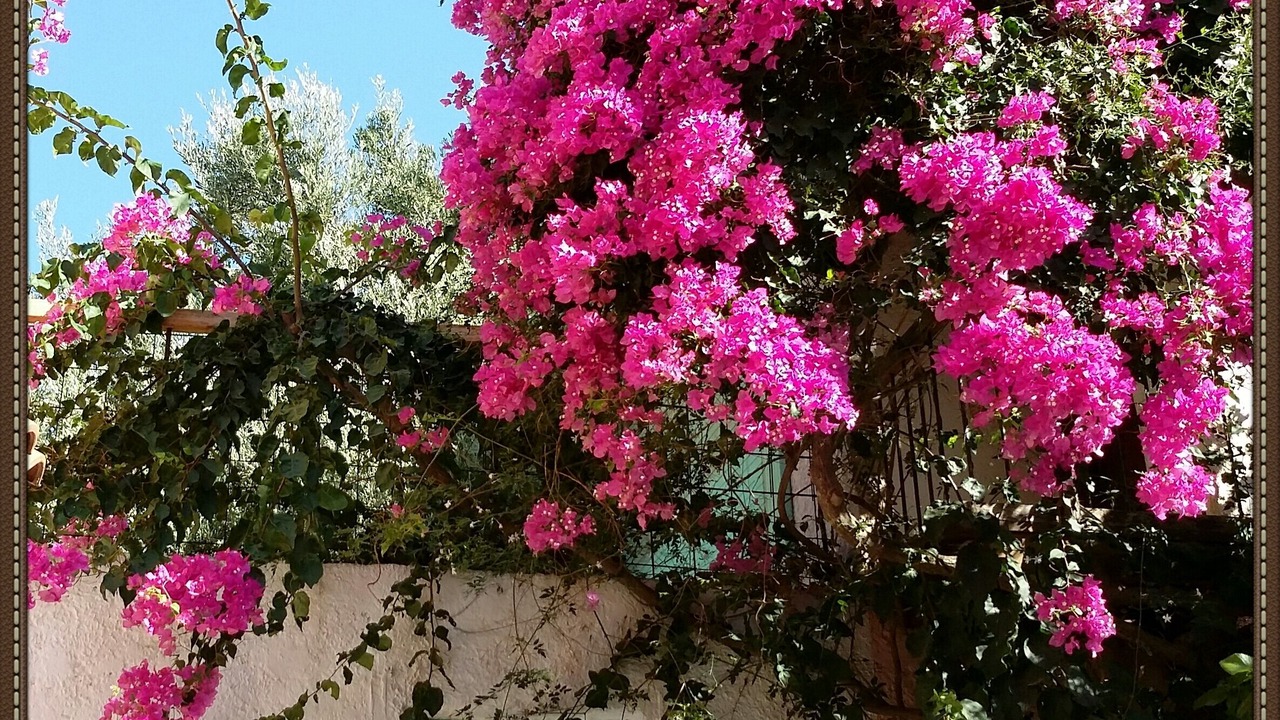 Photo of Outdoor in Kantanos-Selino
