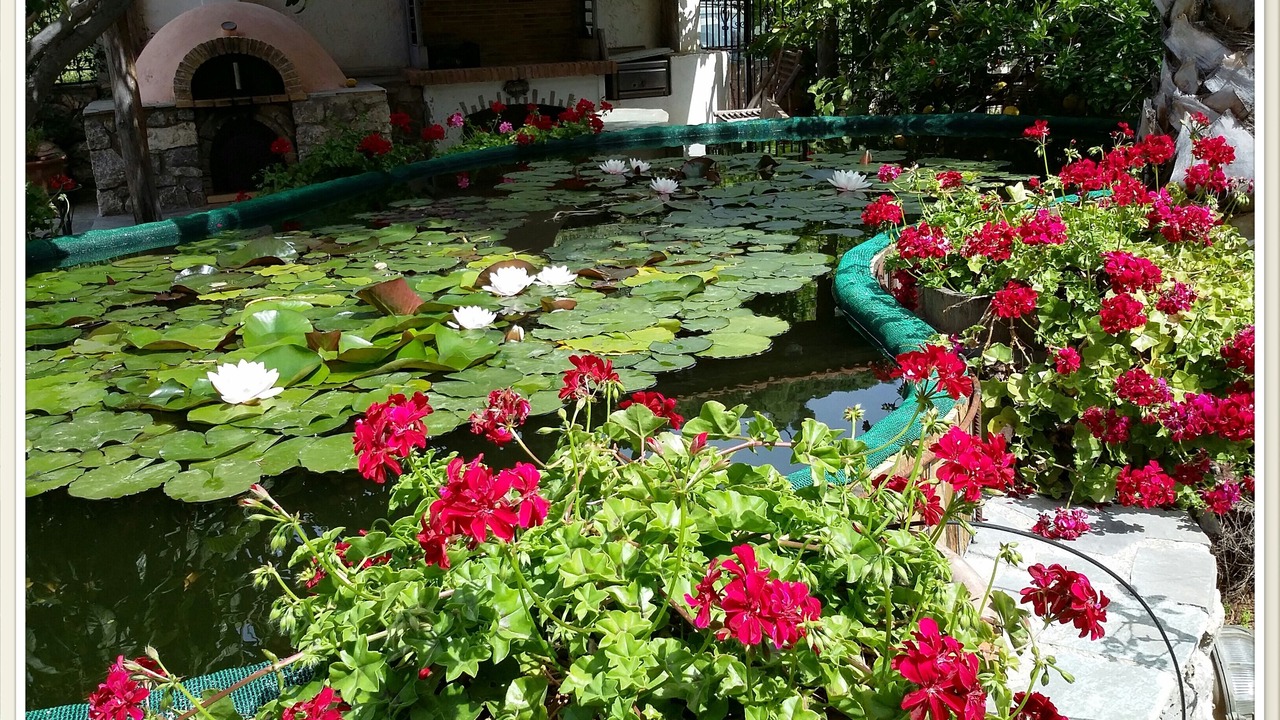 Photo of Outdoor in Kantanos-Selino