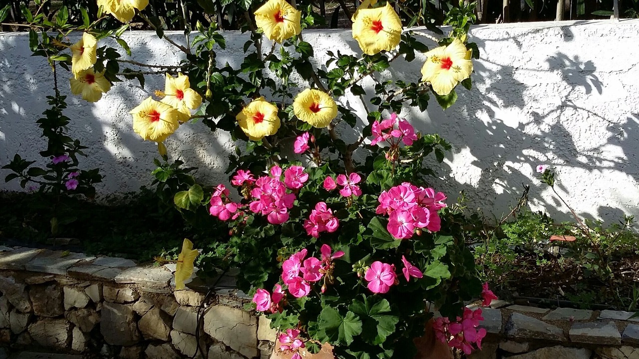 Photo of Outdoor in Kantanos-Selino