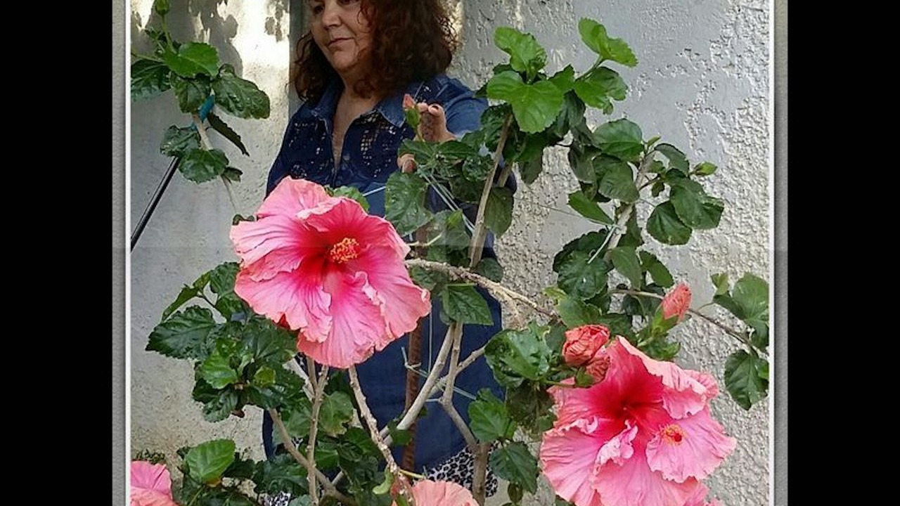 Photo of Others in Kantanos-Selino