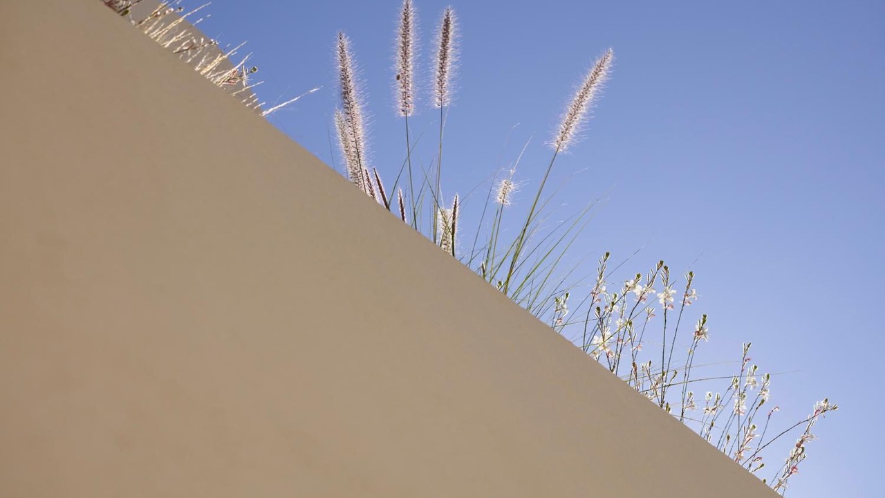 Photo of Outdoor in Apollonia
