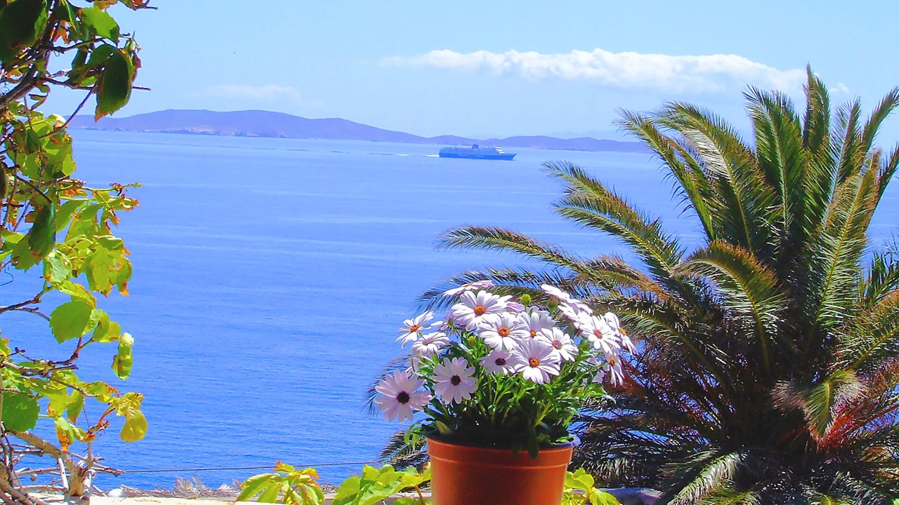 Photo of Outdoor in Agios Sostis