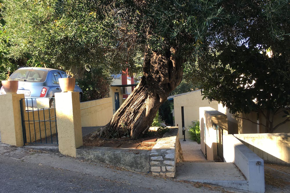 Photo of Outdoor in Barbati
