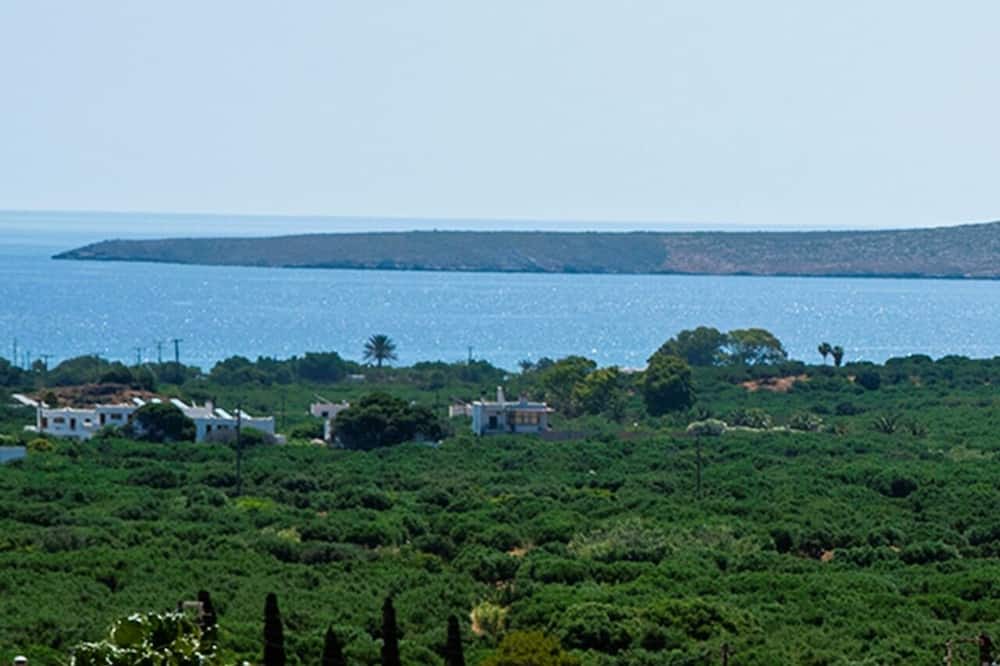 Photo of Others in Palekastro