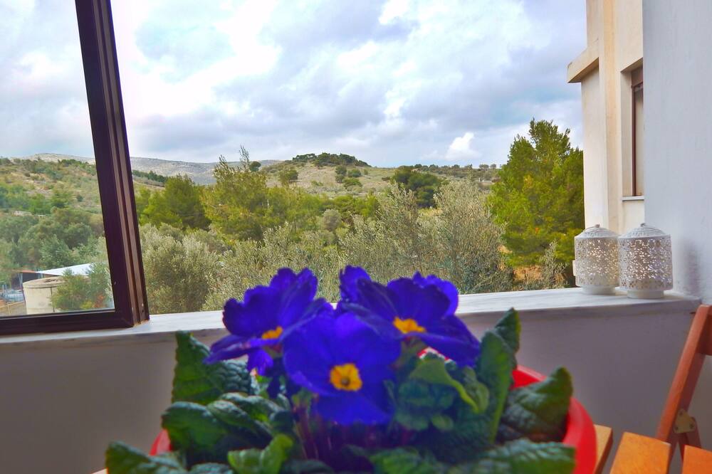 Photo of Others in Saronikos
