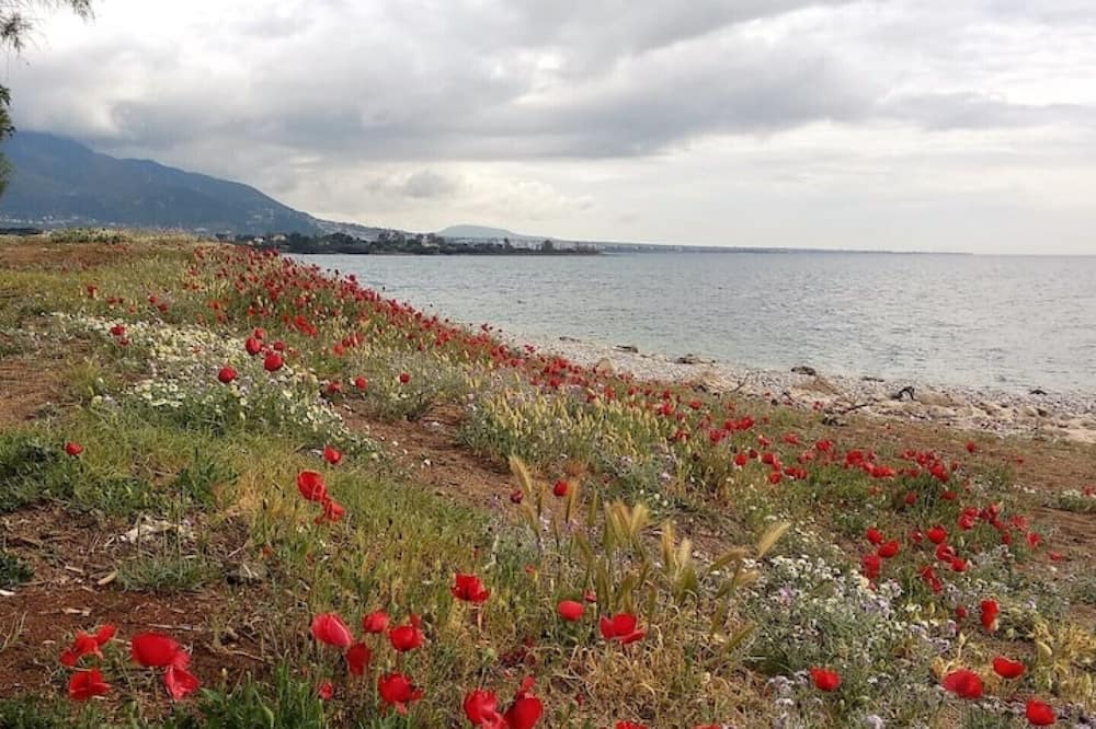 Photo of Others in Kiparissia