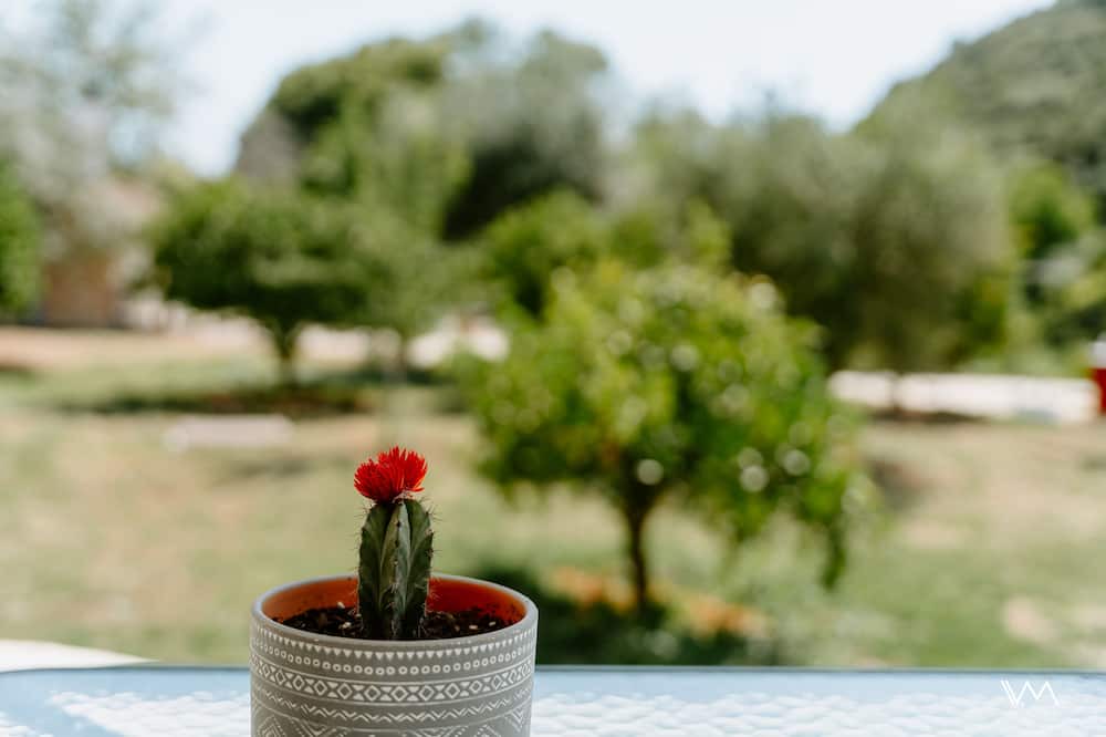 Photo of Outdoor in Karavostasi