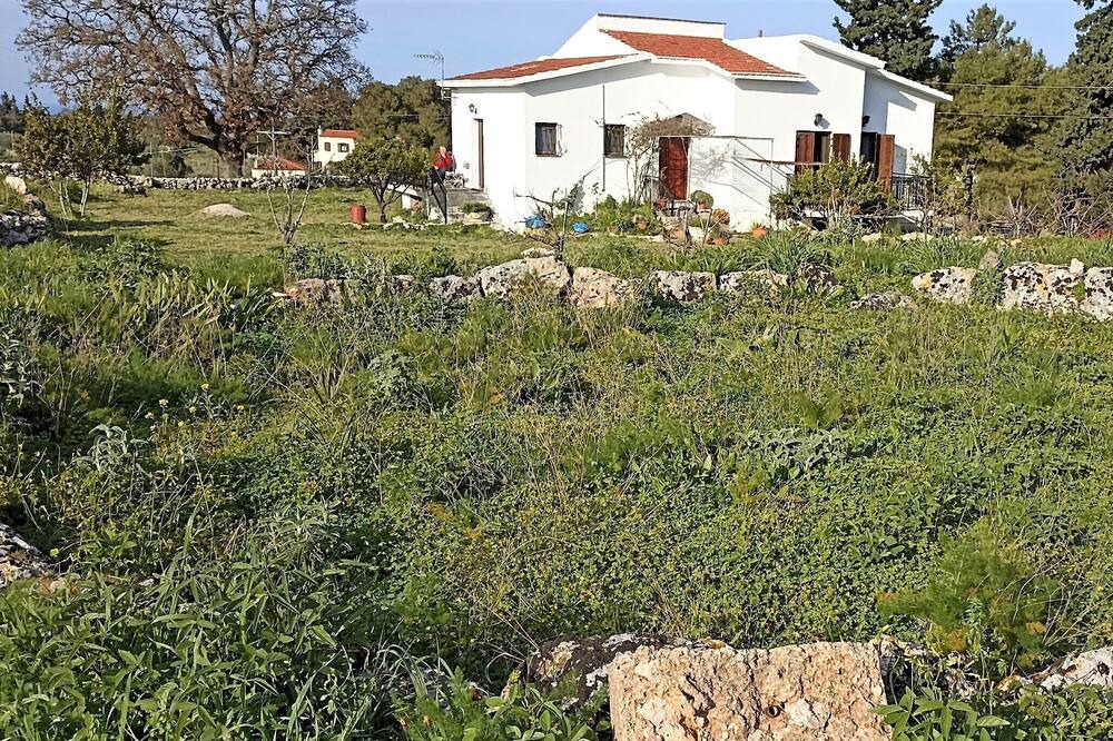 Photo of Outdoor in Vamos
