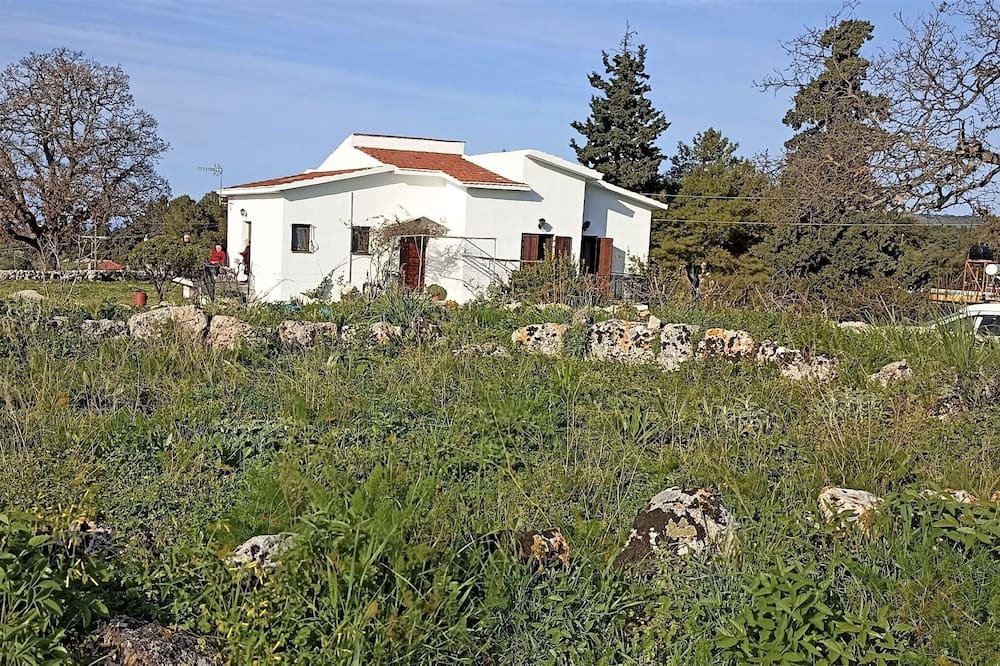 Photo of Outdoor in Vamos