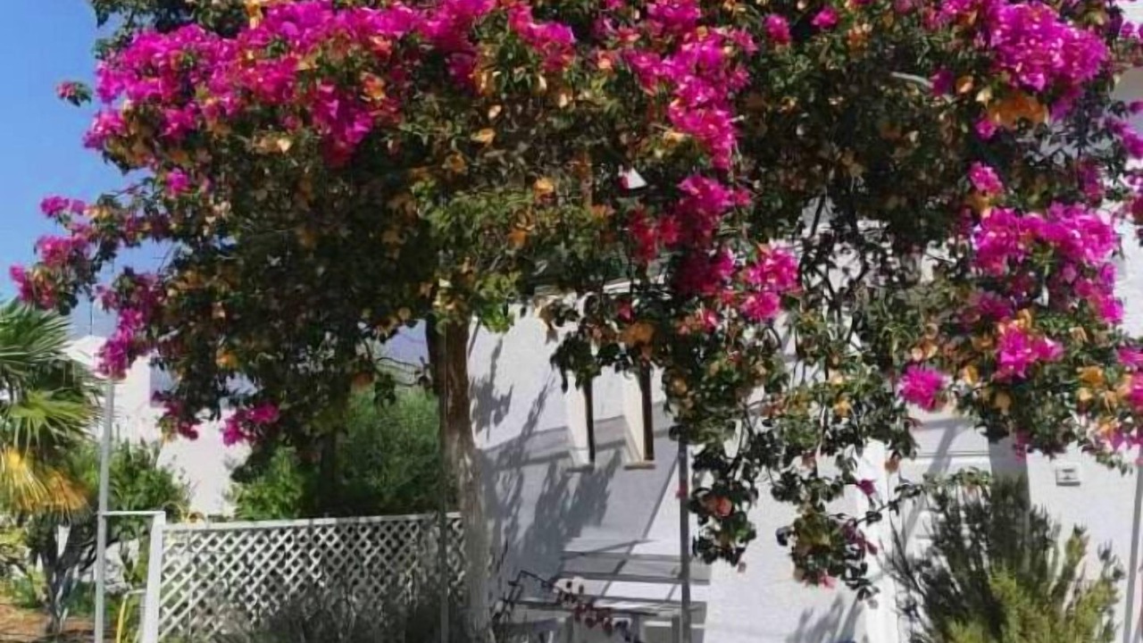 Photo of Outdoor in Istron